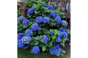 20515 SW 104th Ave, Tualatin, OR 97062 - Photo 41