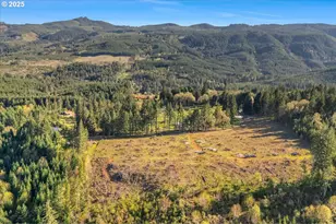 20282 NW Panther Creek Rd, Carlton, OR 97111 - Photo 5