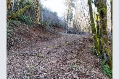 [Address not provided], Grand Ronde, OR 97347 - Photo 5