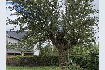 4507 N Gantenbein Ave, Portland, OR 97217 - Photo 15