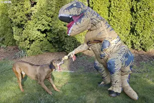 10709 SE 11th Cir, Vancouver, WA 98664 - Photo 35