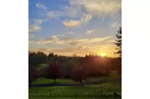 701 NW 184th St, Ridgefield, WA 98642 - Photo 31