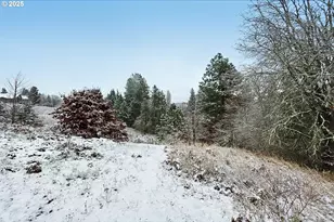 3299 Durland Dr, Hood River, OR 97031 - Photo 31