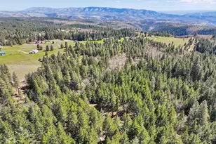 38 Meadows Loop, Lyle, WA 98635 - Photo 41