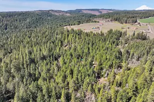 38 Meadows Loop, Lyle, WA 98635 - Photo 39