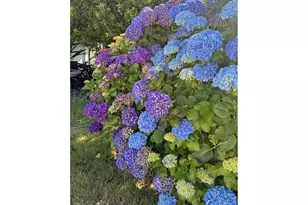 97882 Marks Ln, Brookings, OR 97415 - Photo 17