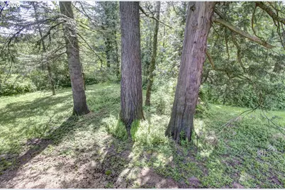 532 NE Curtis Dr, Corbett, OR 97019 - Photo 43
