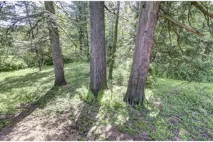 532 NE Curtis Dr, Corbett, OR 97019 - Photo 41