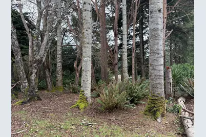 Klamath Ave SE, Bandon, OR 97411 - Photo 11