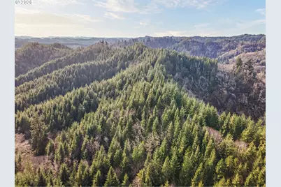 Criteser Loop, Toledo, OR 97391 - Photo 17
