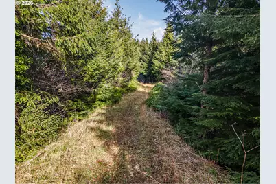 Criteser Loop, Toledo, OR 97391 - Photo 15