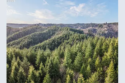 Criteser Loop, Toledo, OR 97391 - Photo 21