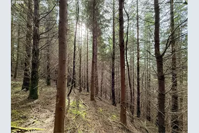 Criteser Loop, Toledo, OR 97391 - Photo 25