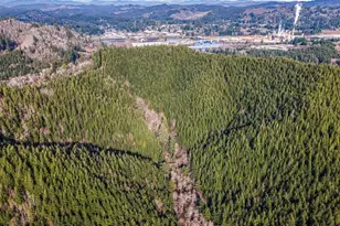 Criteser Loop, Toledo, OR 97391 - Photo 1