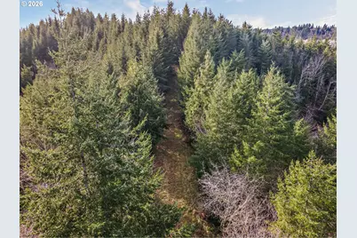 Criteser Loop, Toledo, OR 97391 - Photo 11