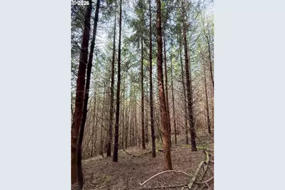 Criteser Loop, Toledo, OR 97391 - Photo 29