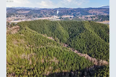 Criteser Loop, Toledo, OR 97391 - Photo 7