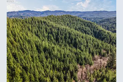 Criteser Loop, Toledo, OR 97391 - Photo 13