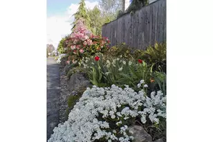 11601 SW 129th Pl, Portland, OR 97223 - Photo 21