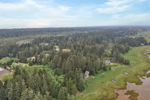 31330 Sandridge Rd, Ocean Park, WA 98640 - Photo 31