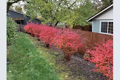 1354 Lea Ann Ct NW, Salem, OR 97304 - Photo 41