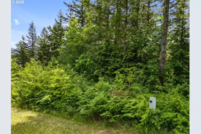 143 Meadow Ridge Way, Mossyrock, WA 98564 - Photo 3