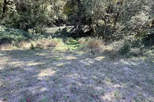 57705 Cedar Creek Rd, Scappoose, OR 97056 - Photo 25