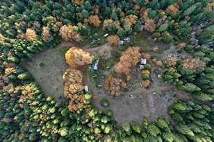 1480 Bridge Ln, Wolf Creek, OR 97497 - Photo 3