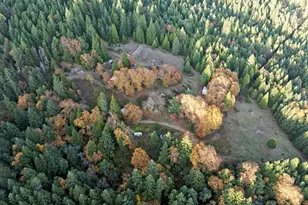 1480 Bridge Ln, Wolf Creek, OR 97497 - Photo 5