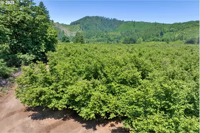 17246 Alsea Hwy, Alsea, OR 97324 - Photo 33