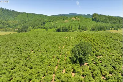 17246 Alsea Hwy, Alsea, OR 97324 - Photo 11