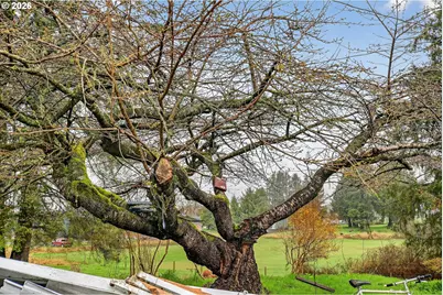 7120 Fairview Rd #35, Tillamook, OR 97141 - Photo 27