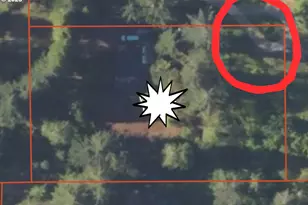 79579 Abbott Ln, Cottage Grove, OR 97424 - Photo 41