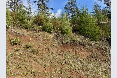 900 Tl Off E. Gleneda Rd, Florence, OR 97439 - Photo 3