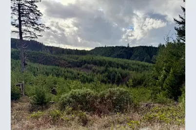 900 Tl Off E. Gleneda Rd, Florence, OR 97439 - Photo 5