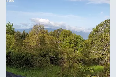 365 Rio Vista Dr, White Salmon, WA 98672 - Photo 3