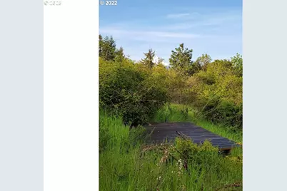 365 Rio Vista Dr, White Salmon, WA 98672 - Photo 5