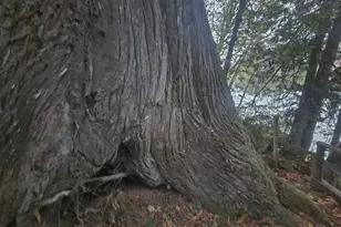 763 N Tenmile, Lakeside, OR 97449 - Photo 19