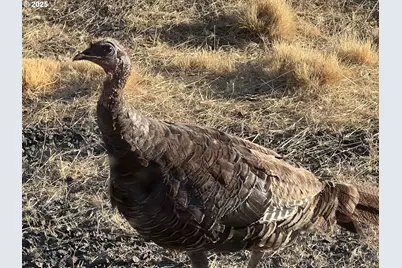 12510 SW Geneva Rd, Culver, OR 97734 - Photo 35