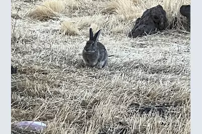 12510 SW Geneva Rd, Culver, OR 97734 - Photo 33