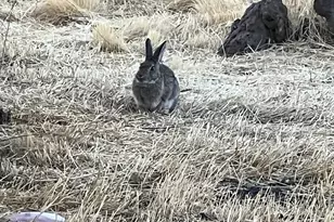 12510 SW Geneva Rd, Culver, OR 97734 - Photo 33