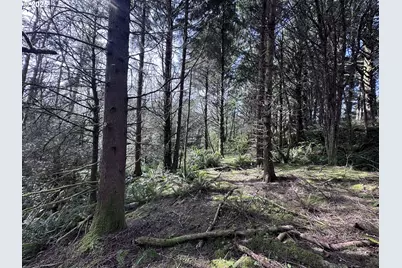 Greenleaf Road, Arch Cape, OR 97102 - Photo 7