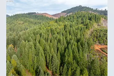 1871 McCullough Creek Rd, Glendale, OR 97442 - Photo 5