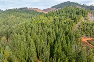 1871 McCullough Creek Rd, Glendale, OR 97442 - Photo 5