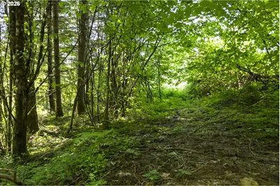000 NE 292nd Ct, Camas, WA 98607 - Photo 11