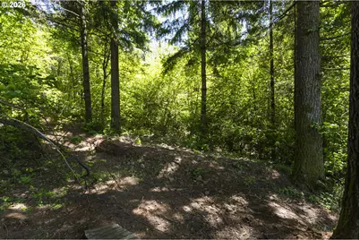 000 NE 292nd Ct, Camas, WA 98607 - Photo 9