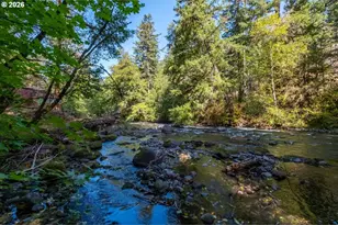 49053 Salt Creek Rd, Oakridge, OR 97463 - Photo 39