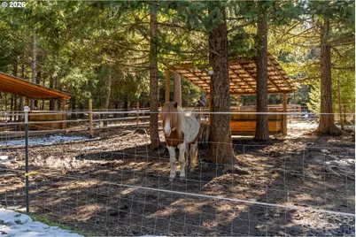 2216 Highway 141, Trout Lake, WA 98650 - Photo 39
