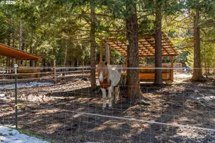 2216 Hwy 141, Trout Lake, WA 98650 - Photo 39