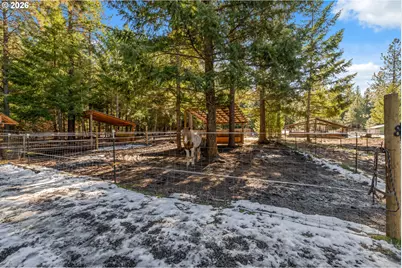 2216 Highway 141, Trout Lake, WA 98650 - Photo 43